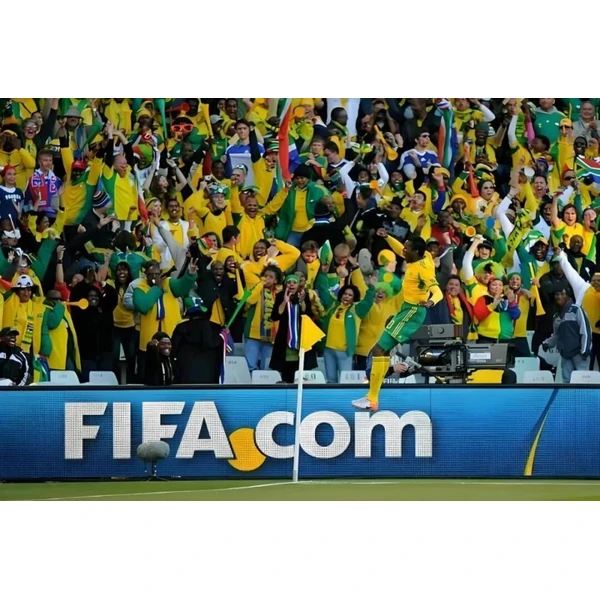 NG体育 APP